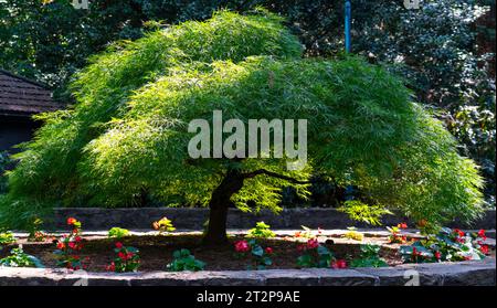 Die Grotte und es ist Glories Stockfoto