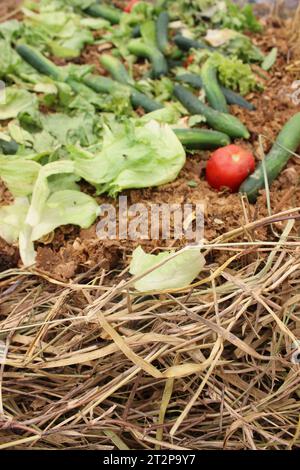 Organische Abfälle, Obst- und Gemüsereste auf der Kompostierschwade eines Kompostierbehälters zur Düngemittelherstellung. Stockfoto