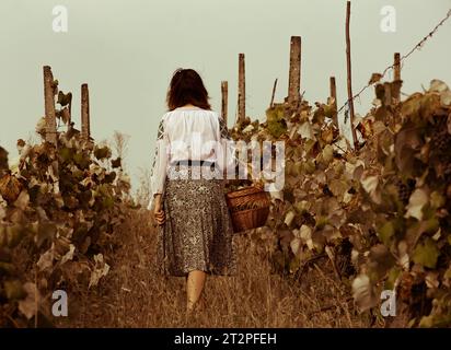 Porträt einer Frau mit Herbsttrauben im Weinberg Stockfoto