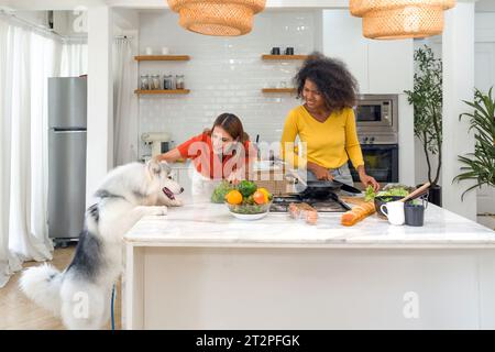 Zwei Frauen teilen sich einen fröhlichen Moment in der gemütlichen Küche. Inmitten ihres Gelächters sitzt ein sibirischer Husky aufmerksam mit hoffnungsvollen Augen auf einem Hauch von Stockfoto