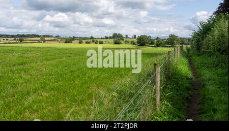 Pfad entlang einer Hecke und Wiese, Teil des Hadrian's Wall Path in der Nähe von Carlisle, Cumbria, Großbritannien Stockfoto