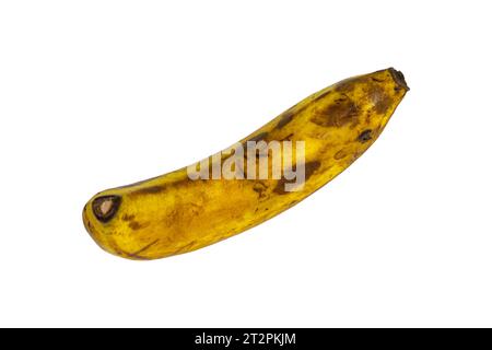 Verfaulte Banane auf weißem Hintergrund isoliert, Beschneidungspfad Stockfoto