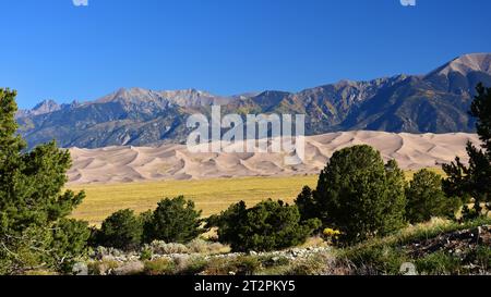 Sanddünen und die san juan Berggipfel an einem sonnigen Tag im großartigen Sanddünen-Nationalpark in der Nähe von alamosa, colorado Stockfoto