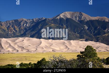 Sanddünen und die san juan Berggipfel an einem sonnigen Tag im großartigen Sanddünen-Nationalpark in der Nähe von alamosa, colorado Stockfoto