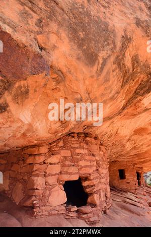 Antike Ruinen der Indianer im Maultier Canyon in der Nähe von Blanding, utah Stockfoto