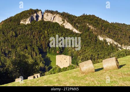 Schweiz, Zullwil, Solothurn, Schwarzbubenland, Ruinen, Gilgenberg Stockfoto