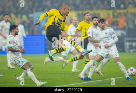 Dortmund, Deutschland. Oktober 2023. Donyell Malen (BVB) Borussia Dortmund - Werder Bremen 20.10.2023 Urheberrecht (nur für journalistische Zwecke) von : Stockfoto