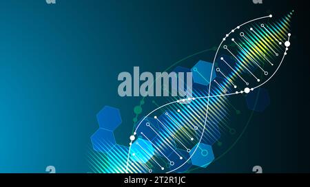 Wissenschaftliche Vorlage, Hintergrundbild oder Banner mit DNA-Molekülen. Vektorabbildung. Stock Vektor