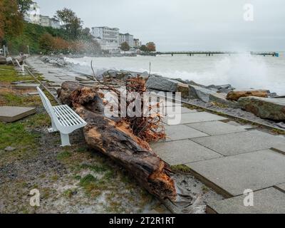 Sassnitz, Deutschland. Oktober 2023. Nach dem Sturm in der Nacht liegen an der Strandpromenade Platten und Treibholz. Eine starke Sturmflut verursachte große Schäden an der Ostseeküste, insbesondere in Schleswig-Holstein. Quelle: Georg Moritz/dpa/Alamy Live News Stockfoto