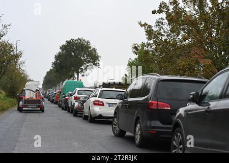Norden, Deutschland. Oktober 2023. Eine beladene Liege bei der Abfahrt. Nordseeliebhaber und Schnäppchenjäger versteigerten am Ende der Saison in Norddeich, Ostfriesland, am Samstag auf Liegestühlen. Insgesamt standen rund 50 der massiven Strandmöbel zum Verkauf. Quelle: Lars Penning/dpa/Alamy Live News Stockfoto