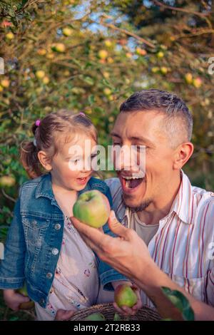 Vater und Tochter pflücken Äpfel von einem Baum an einem warmen Herbsttag bei Sonnenuntergang bei untergehenden Sonnenstrahlen. Ein junger Mann mit seiner Tochter erntet Äpfel für wic Stockfoto