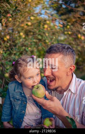 Vater und Tochter pflücken Äpfel von einem Baum an einem warmen Herbsttag bei Sonnenuntergang bei untergehenden Sonnenstrahlen. Ein junger Mann mit seiner Tochter erntet Äpfel für wic Stockfoto