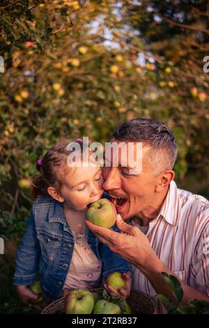 Vater und Tochter pflücken Äpfel von einem Baum an einem warmen Herbsttag bei Sonnenuntergang bei untergehenden Sonnenstrahlen. Ein junger Mann mit seiner Tochter erntet Äpfel für wic Stockfoto