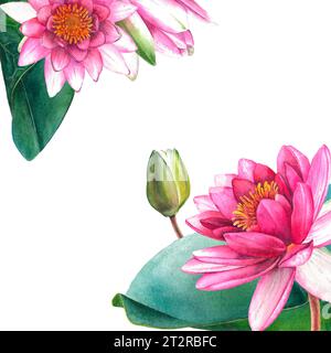 Seerosen-Zusammensetzung. Handgezeichnete Aquarellillustration von rosa Blumen und grünen Blättern auf weißem isoliertem Hintergrund. Design für Karten, Einladungen Stockfoto