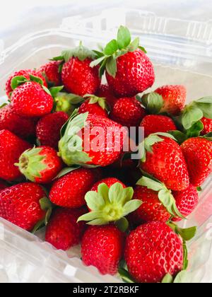 A close-up of ripe, red strawberries in a white bowl on a table Stockfoto