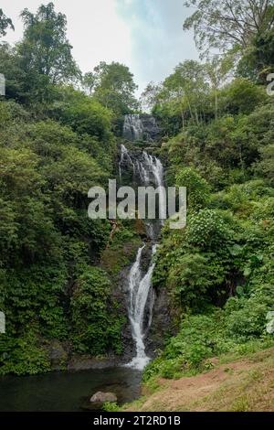 Tauchen Sie ein in die Ruhe des Wasserfalls von Nord-Bali, gefangen in einem langweiligen Meisterwerk. Das kaskadierende Wasser verwandelt sich in ein faszinierendes Stockfoto