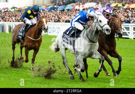 Ascot, Berkshire, Vereinigtes Königreich. Samstag, 21. Oktober 2023. Art Power und David Allan gewinnen die QIPCO British Champions Sprint Stakes Group 1 für Trainer Tim Easterby und Eigentümer King Power Racing Co Ltd Credit JTW equine Images / Alamy Live News Stockfoto