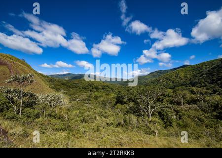 Amboro Nationalpark in der Nähe von Samaipata Stockfoto