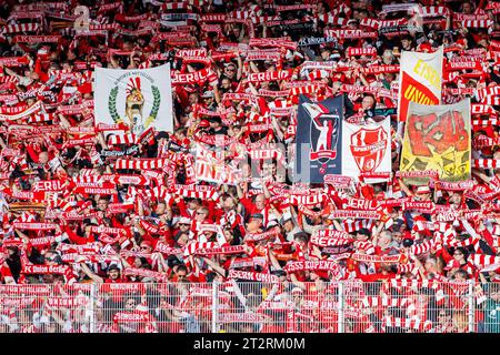 Berlin, Deutschland. Oktober 2023. Fußball: Bundesliga, 1. FC Union Berlin - VfB Stuttgart, Spieltag 8, an der Alten Försterei. Union-Fans feiern ihr Team. Hinweis: Andreas Gora/dpa – WICHTIGER HINWEIS: gemäß den Vorgaben der DFL Deutsche Fußball Liga und des DFB Deutscher Fußball-Bund ist es verboten, im Stadion und/oder des Spiels aufgenommene Fotografien in Form von Sequenzbildern und/oder videoähnlichen Fotoserien zu verwenden oder zu verwenden./dpa/Alamy Live News Stockfoto