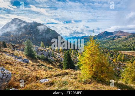 Alpenlandschaft mit Lärchen in Herbstfarben Stockfoto