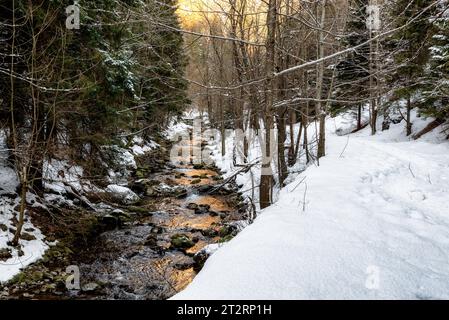 Im Winter fließt der Fluss Kvacianska dolina durch das Tal. Stockfoto