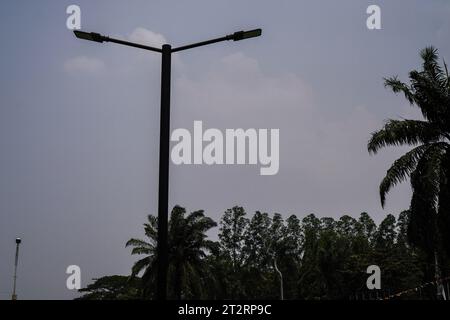 Gartenlichter von unten mit Blick auf den Himmel. Silhouette des imagers. Stockfoto
