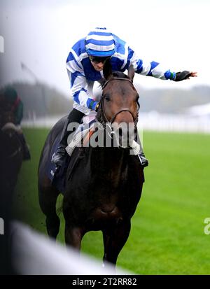 Big Rock, geritten von Jockey Aurelien Lemaitre, gewinnt die Queen Elizabeth II Stakes während des QIPCO British Champions Day auf der Ascot Racecourse, Berkshire. Bilddatum: Samstag, 21. Oktober 2023. Stockfoto