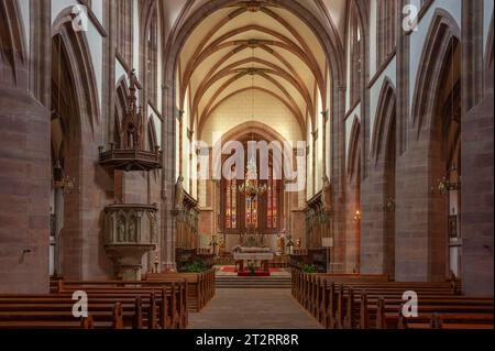 Kirchenschiff der Stiftskirche St. Florentinus heute Pfarrkirche St. Johannes Baptista, Niederhaslach, Elsass, Frankreich Stockfoto