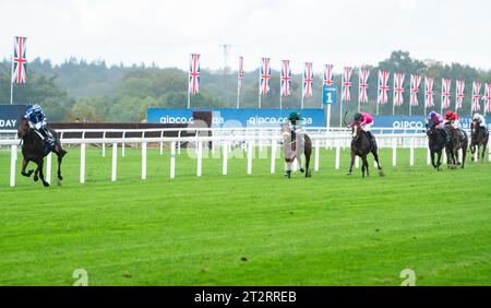 Ascot, Berkshire, Vereinigtes Königreich. Samstag, 21. Oktober 2023. Big Rock und Jockey Aurelien Lemaitre gewinnen die Queen Elizabeth II Stakes (gesponsert von QIPCO) Group 1 für Trainer Christopher Head und Eigentümer Yeguada Centurion SLU. Credit JTW equine Images / Alamy Live News Stockfoto