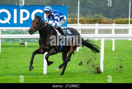 Ascot, Berkshire, Vereinigtes Königreich. Samstag, 21. Oktober 2023. Big Rock und Jockey Aurelien Lemaitre gewinnen die Queen Elizabeth II Stakes (gesponsert von QIPCO) Group 1 für Trainer Christopher Head und Eigentümer Yeguada Centurion SLU. Credit JTW equine Images / Alamy Live News Stockfoto