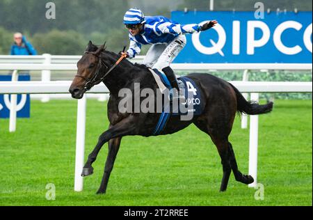 Ascot, Berkshire, Vereinigtes Königreich. Samstag, 21. Oktober 2023. Big Rock und Jockey Aurelien Lemaitre gewinnen die Queen Elizabeth II Stakes (gesponsert von QIPCO) Group 1 für Trainer Christopher Head und Eigentümer Yeguada Centurion SLU. Credit JTW equine Images / Alamy Live News Stockfoto