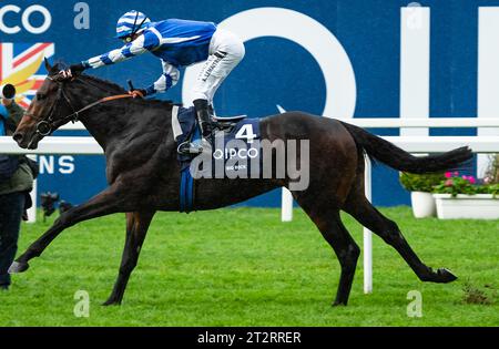 Ascot, Berkshire, Vereinigtes Königreich. Samstag, 21. Oktober 2023. Big Rock und Jockey Aurelien Lemaitre gewinnen die Queen Elizabeth II Stakes (gesponsert von QIPCO) Group 1 für Trainer Christopher Head und Eigentümer Yeguada Centurion SLU. Credit JTW equine Images / Alamy Live News Stockfoto