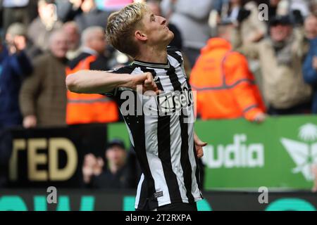 Newcastle am Samstag, den 21. Oktober 2023. Anthony Gordon von Newcastle United feiert, nachdem er sein zweites Tor während des Premier League-Spiels zwischen Newcastle United und Crystal Palace in St. erzielte James's Park, Newcastle am Samstag, den 21. Oktober 2023. (Foto: Mark Fletcher | MI News) Credit: MI News & Sport /Alamy Live News Stockfoto