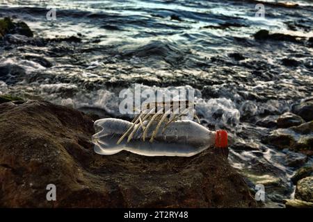 Plastische Verschmutzung des Meeres. Die Natur kämpft mit Müll Stockfoto