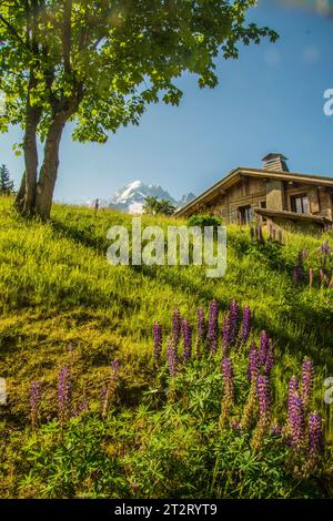 Trelechamp In Chamonix In Haute Savoie In Frankreich Stockfoto