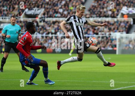 Newcastle am Samstag, den 21. Oktober 2023. Anthony Gordon von Newcastle United im Spiel der Premier League zwischen Newcastle United und Crystal Palace in St. James's Park, Newcastle am Samstag, den 21. Oktober 2023. (Foto: Mark Fletcher | MI News) Credit: MI News & Sport /Alamy Live News Stockfoto