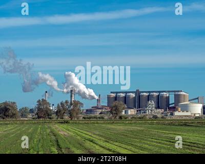 Blick auf Wissington Sugar Beet Factory, Wissington, Norfolk, England Stockfoto