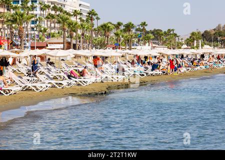 Touristen Sonnenbaden und Schwimmen am Strand von Finikoudes, Larnaca, Zypern Stockfoto