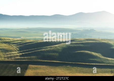 Nebeliger Morgen in der Toskana. Sanfte Hügel bei Sonnenaufgang, ein wunderschönes Licht über dem Val d'Orcia. Pienza Stockfoto