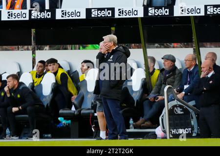 21. Oktober 2023; St. James' Park, Newcastle, England; Premier League Football, Newcastle United gegen Crystal Palace; Crystal Palace Manager Roy Hodgson beobachtet aus dem technischen Bereich, wie sein Team ein zweites Tor zugibt Stockfoto