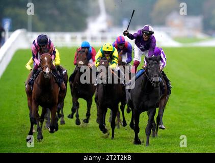 King of Steel, geritten von Jockey Frankie Dettori (rechts), gewinnt die Qipco Champion Stakes während des QIPCO British Champions Day auf der Ascot Racecourse, Berkshire. Bilddatum: Samstag, 21. Oktober 2023. Stockfoto