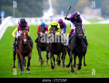 King of Steel, geritten von Jockey Frankie Dettori (rechts), gewinnt die Qipco Champion Stakes während des QIPCO British Champions Day auf der Ascot Racecourse, Berkshire. Bilddatum: Samstag, 21. Oktober 2023. Stockfoto