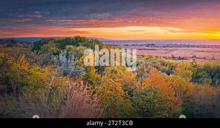 Farbenfrohe herbstliche Landschaft. Wunderschöner Blick über das Tal auf den Wald, der von dem warmen Sonnenuntergangslicht beleuchtet wird. Malerische Landschaft der Herbstsaison Stockfoto