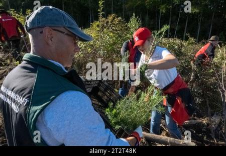 21. Oktober 2023, Sachsen, Königshain: Helfer Pflanzen Bäume. Premierminister Kretschmer nimmt auch an der Pflanzkampagne „Oberlausitzer Zukunftswald“ in Königshain Teil. Die Wiederaufforstung der kommunalen 1,2 ha großen zerstörten Fläche ist das Ergebnis einer Crowgründungskampagne. Mit der Anpflanzung von über 3.000 Setzlingen verschiedener Baumarten durch Einwohner der Oberlausitz soll auf einem ehemaligen Rindenkäfer-beschädigten Gebiet ein klimaverträglicher, artenreicher Mischwald entstehen. Foto: Matthias Rietschel/dpa Stockfoto