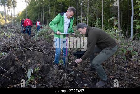 21. Oktober 2023, Sachsen, Königshain: Premierminister Michael Kretschmer (l) nimmt an der Pflanzkampagne „Oberlausitzer Zukunftswald“ in Königshain Teil. Die Wiederaufforstung des 1,2 ha großen, geschädigten Gemeindegebiets ist das Ergebnis einer Crowgründungsaktion. Mit der Anpflanzung von über 3.000 Setzlingen verschiedener Baumarten durch Einwohner der Oberlausitz soll auf einem ehemaligen Rindenkäferkäfer-geschädigten Gebiet ein klimaverträglicher, artenreicher Mischwald entstehen. Foto: Matthias Rietschel/dpa Stockfoto