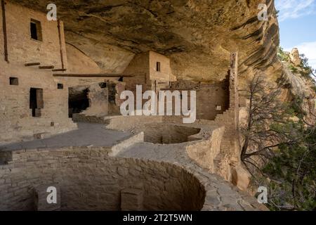 Blick auf zwei Kivas im Gemeinschaftsbereich des Balcony House in Mesa Verde Stockfoto