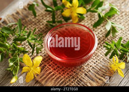 Eine Schüssel mit hausgemachtem rotem Öl aus frischem St. Johanniskrautblüten Stockfoto