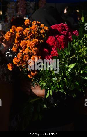 Tag der toten Blumen in Huaquechula, Puebla Stockfoto