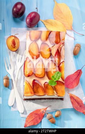 Leckerer Pflaumenschwamm-Kuchen aus frischem Obst und Gelee. Hausgemachter Biskuitkuchen. Stockfoto