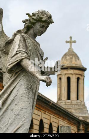 Ein Steinengel mit einer Harfe auf dem Brompton Cemetery im Royal Borough of Kensington und Chelsea in London. Dieser Friedhof ist einer der prächtigen SE Stockfoto